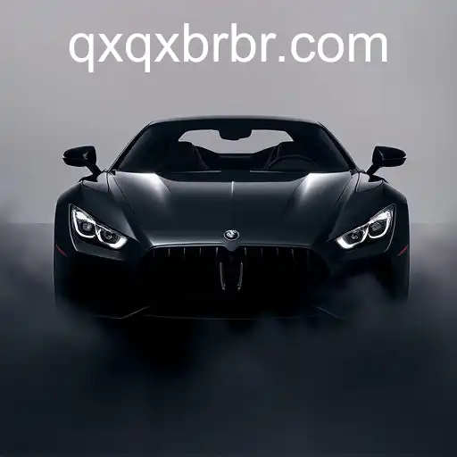 Exploring the Unique Concept of Exclusivo: An Insight into QXQX